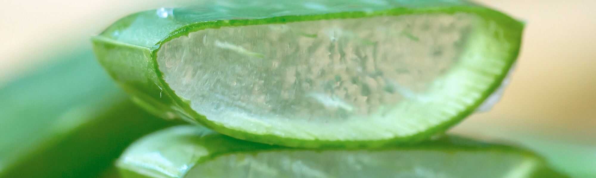 3 Aloe Vera Face Mask Recipes To Whip Up At Home