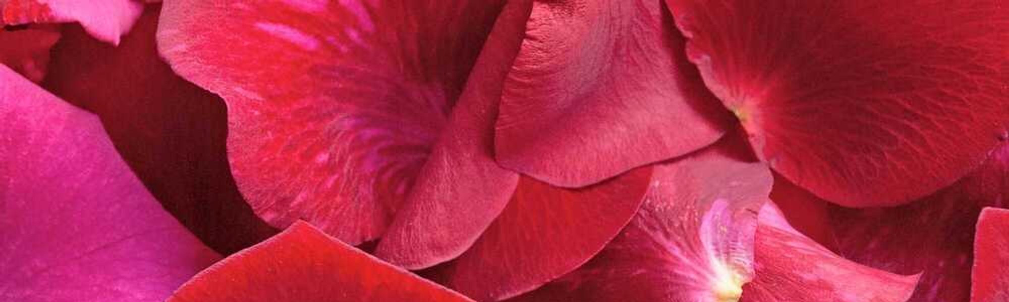 5 Flowers To Work Wonders On Your Skin