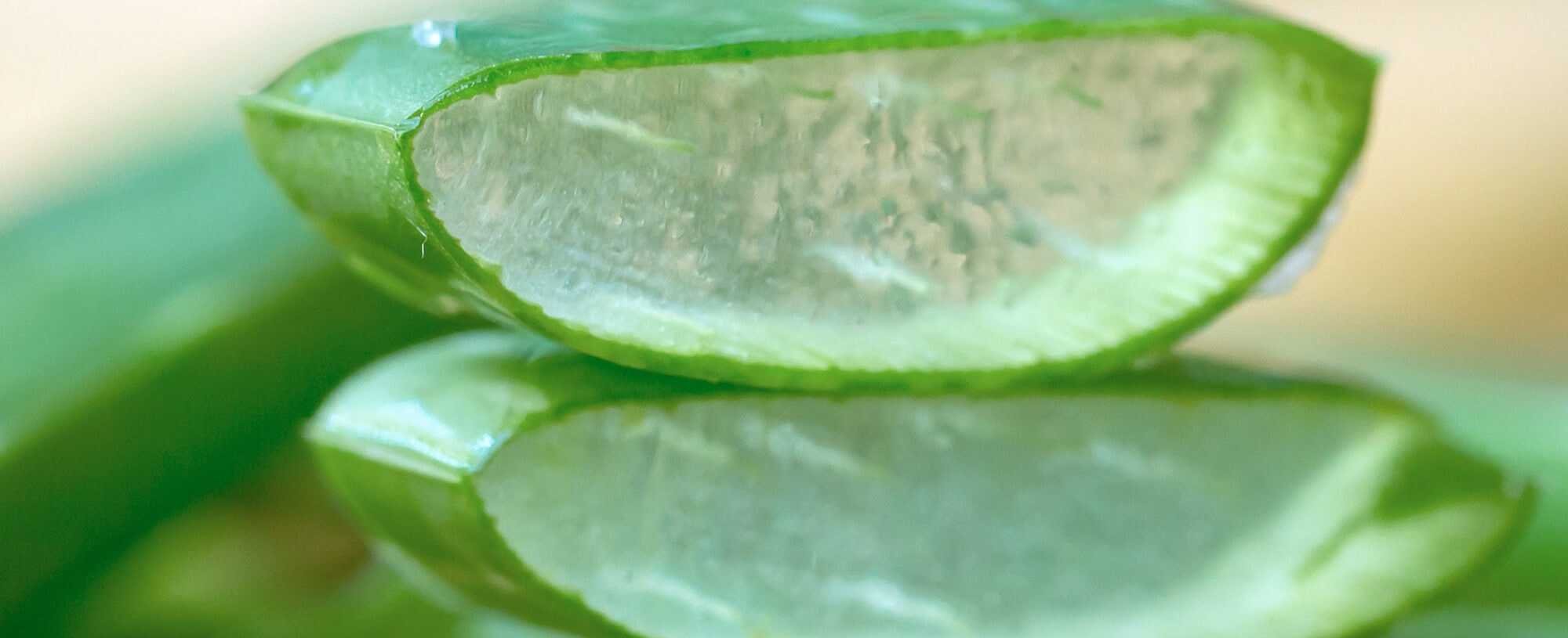 Three Aloe Vera Face Mask Recipes To Whip Up At Home
