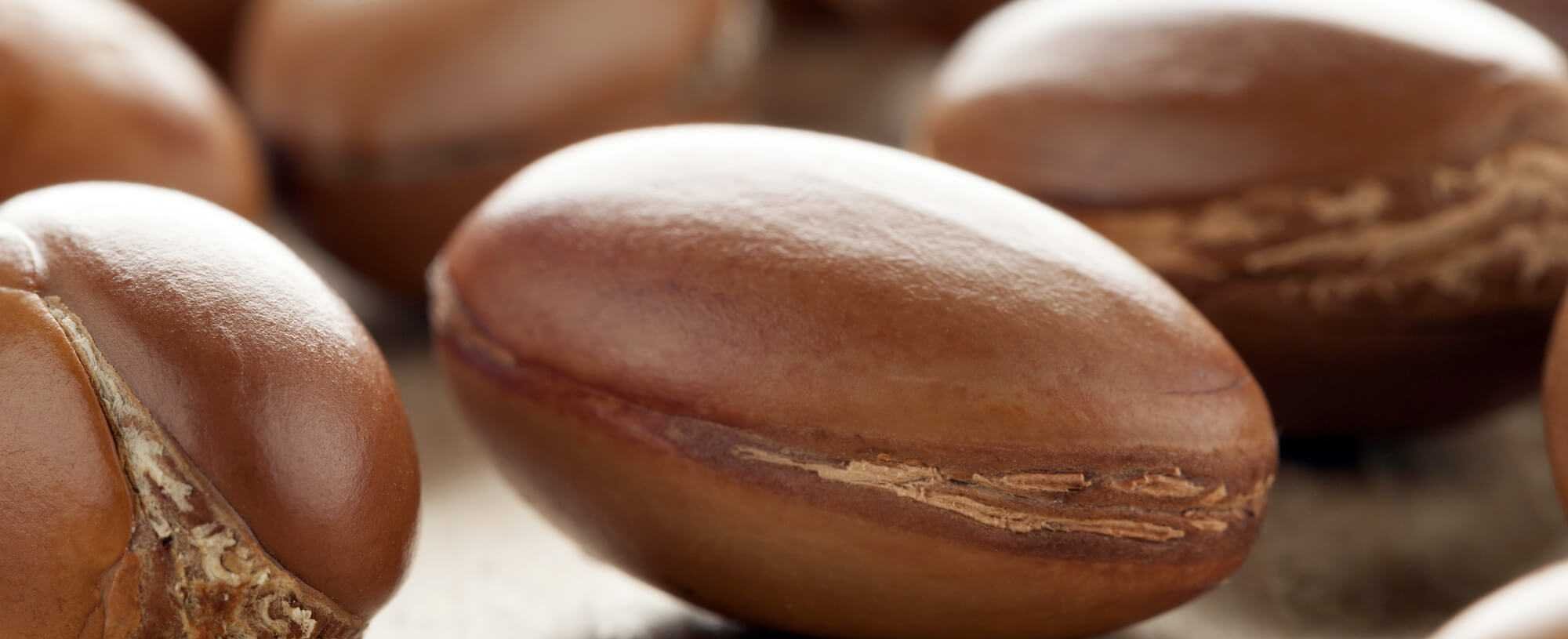 Back To The Future Traditional Active Ingredients In Skincare That Still Amaze