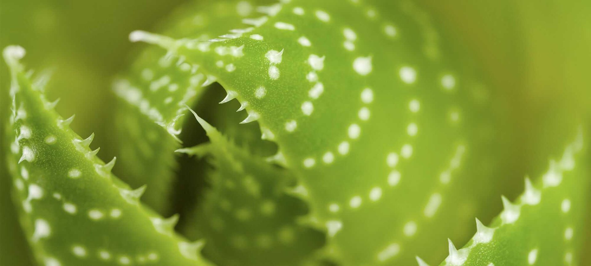 Evening Beauty Routines For A Glowing Wake Up Call