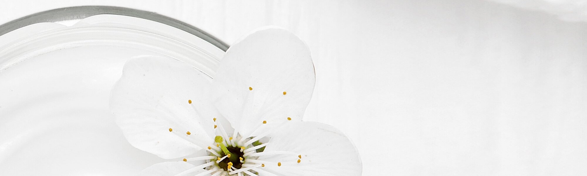 How To Choose The Righ  Day Cream Perfect Skin Quest Article