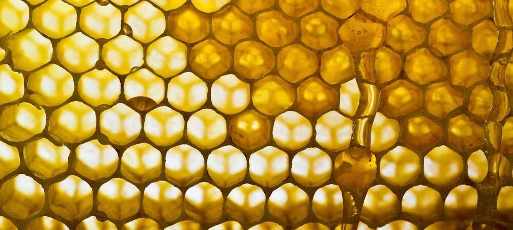 We Reveal The Benefits Of Royal Jelly For The Skin