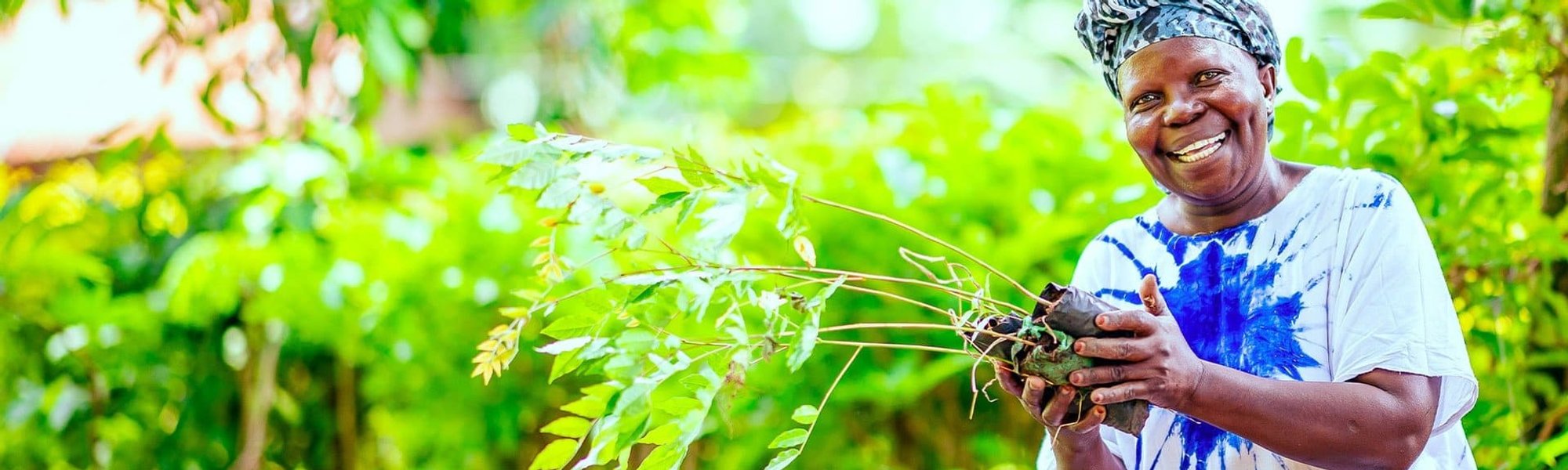 LOrals Sustainable Living Through Green Beauty Innovations